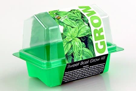 Buzzy Seeds Aufzuchtsets wieder auf Topniveau