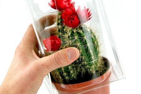 Topf- und Pflanzenkombination für IKEA